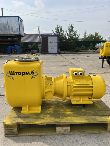 Самовсасывающий центробежный насос Шторм 6